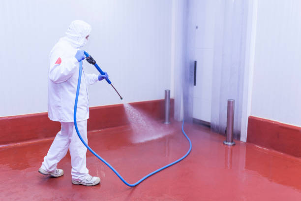 Best Restaurant Pressure Washing  in Rio Bravo, TX