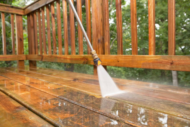 Best Roof Washing  in Rio Bravo, TX